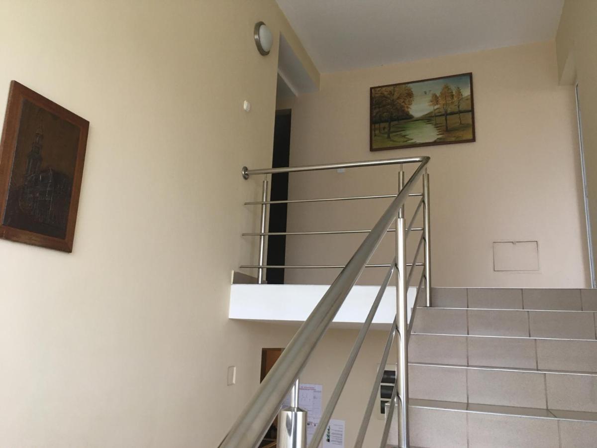 Pensiunea Brigi Satu Mare Extérieur photo