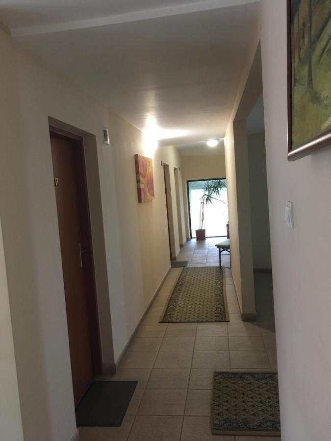 Pensiunea Brigi Satu Mare Extérieur photo