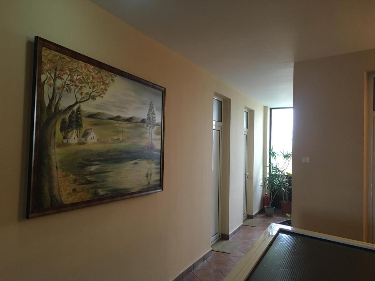 Pensiunea Brigi Satu Mare Extérieur photo