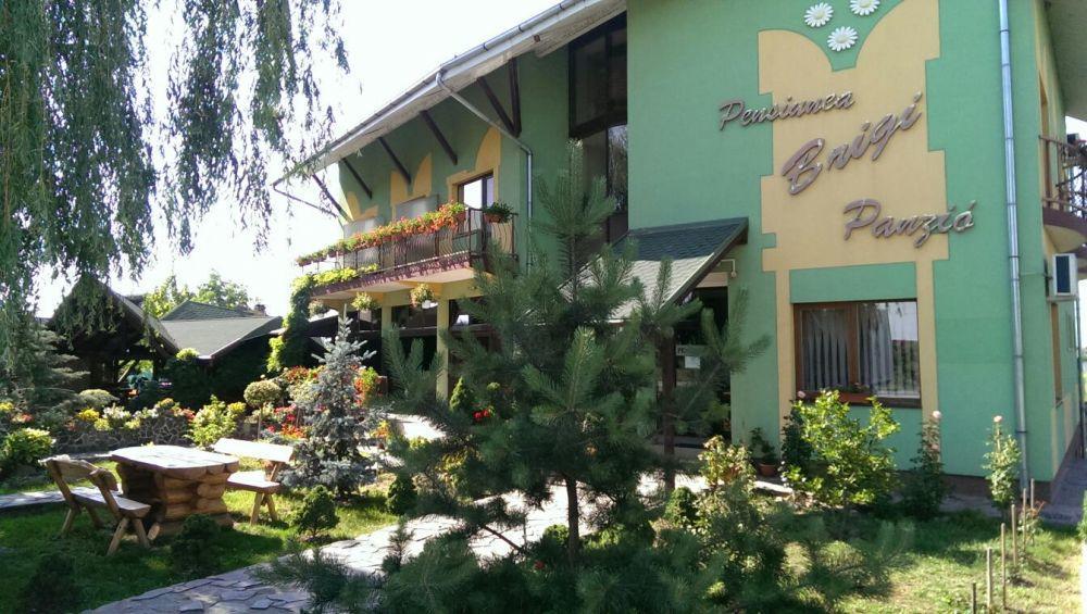 Pensiunea Brigi Satu Mare Extérieur photo